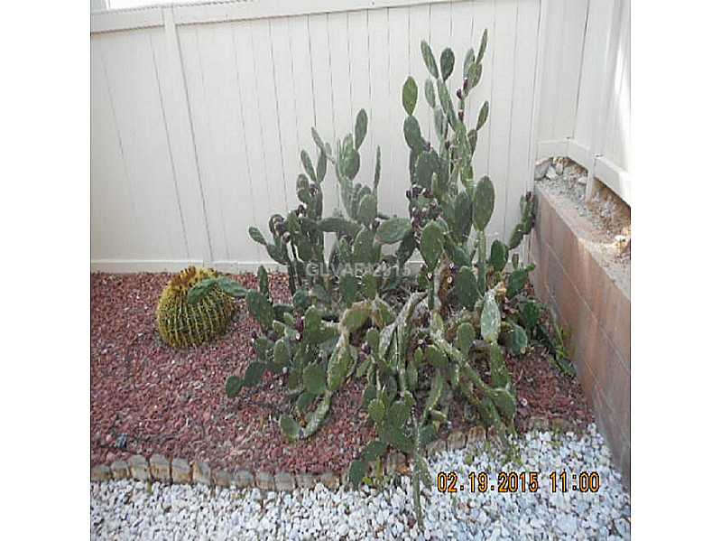 3824 Badgerbrook Street Las Vegas, NV 89129 - Photo 19 of 19 Yard/Garden.