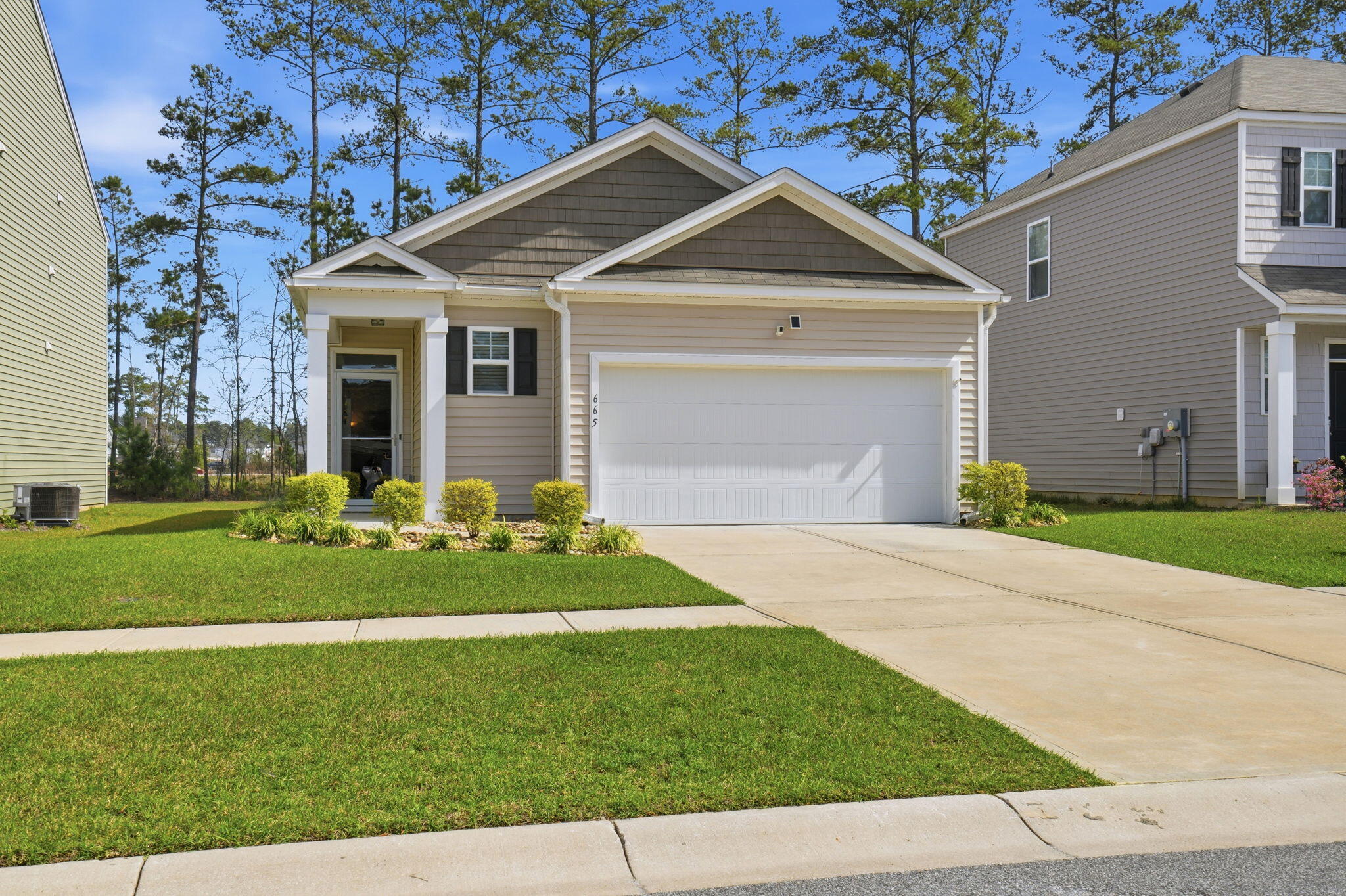 665 Silver Spruce Street Summerville, SC 29486 - Photo 2 of 52 2-web-or-mls-002_DSC04054