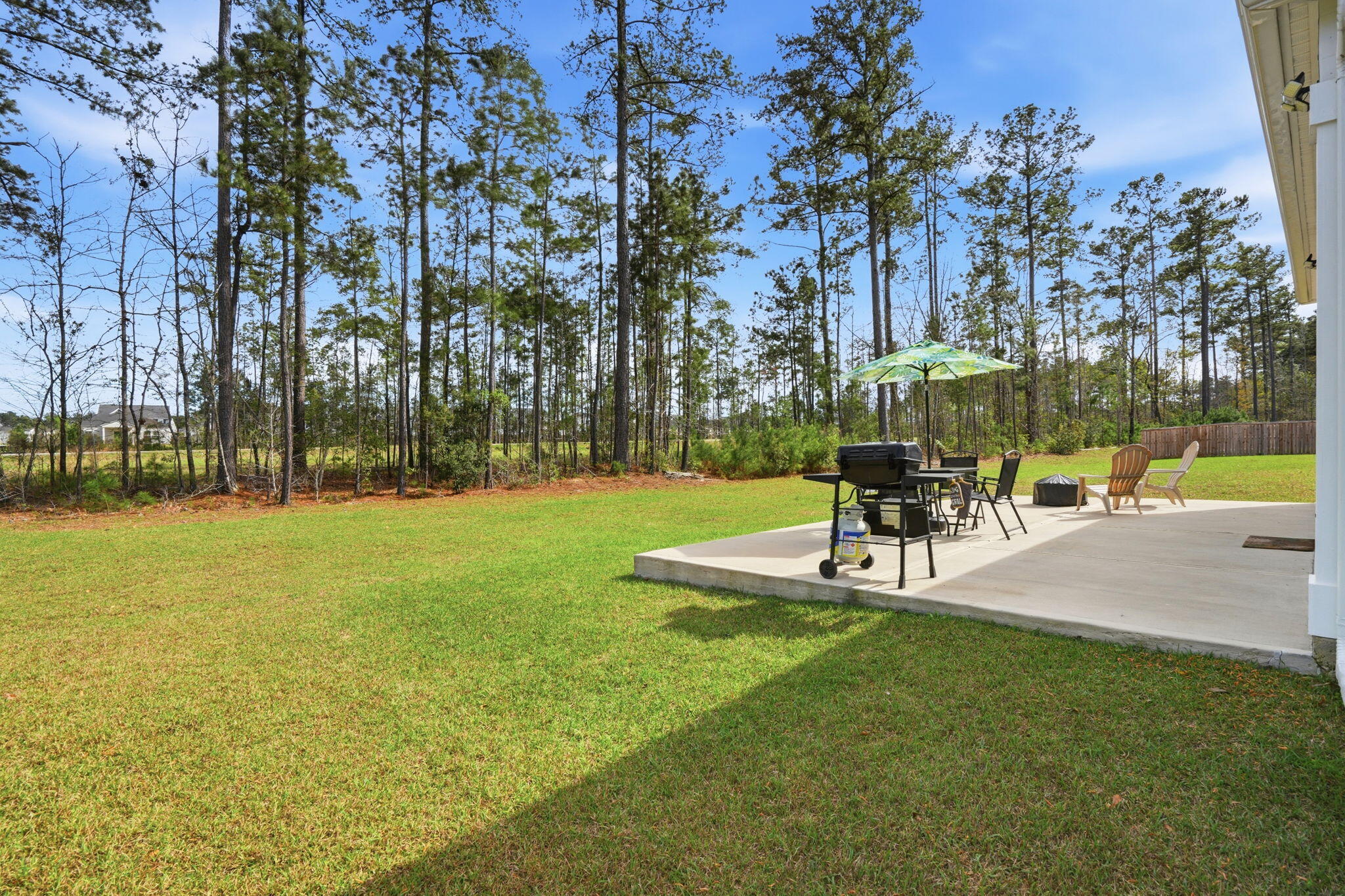 665 Silver Spruce Street Summerville, SC 29486 - Photo 27 of 52 27-web-or-mls-027_DSC04135