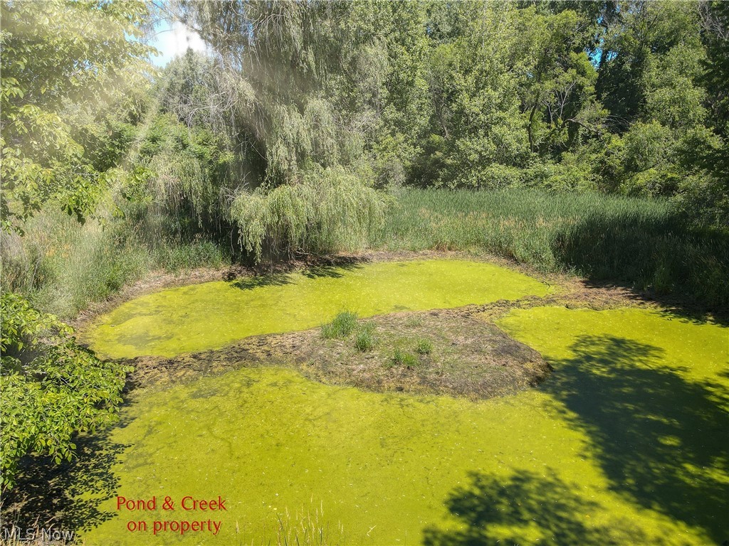 2077 Wright Road Akron, OH 44320 - Photo 27 of 35