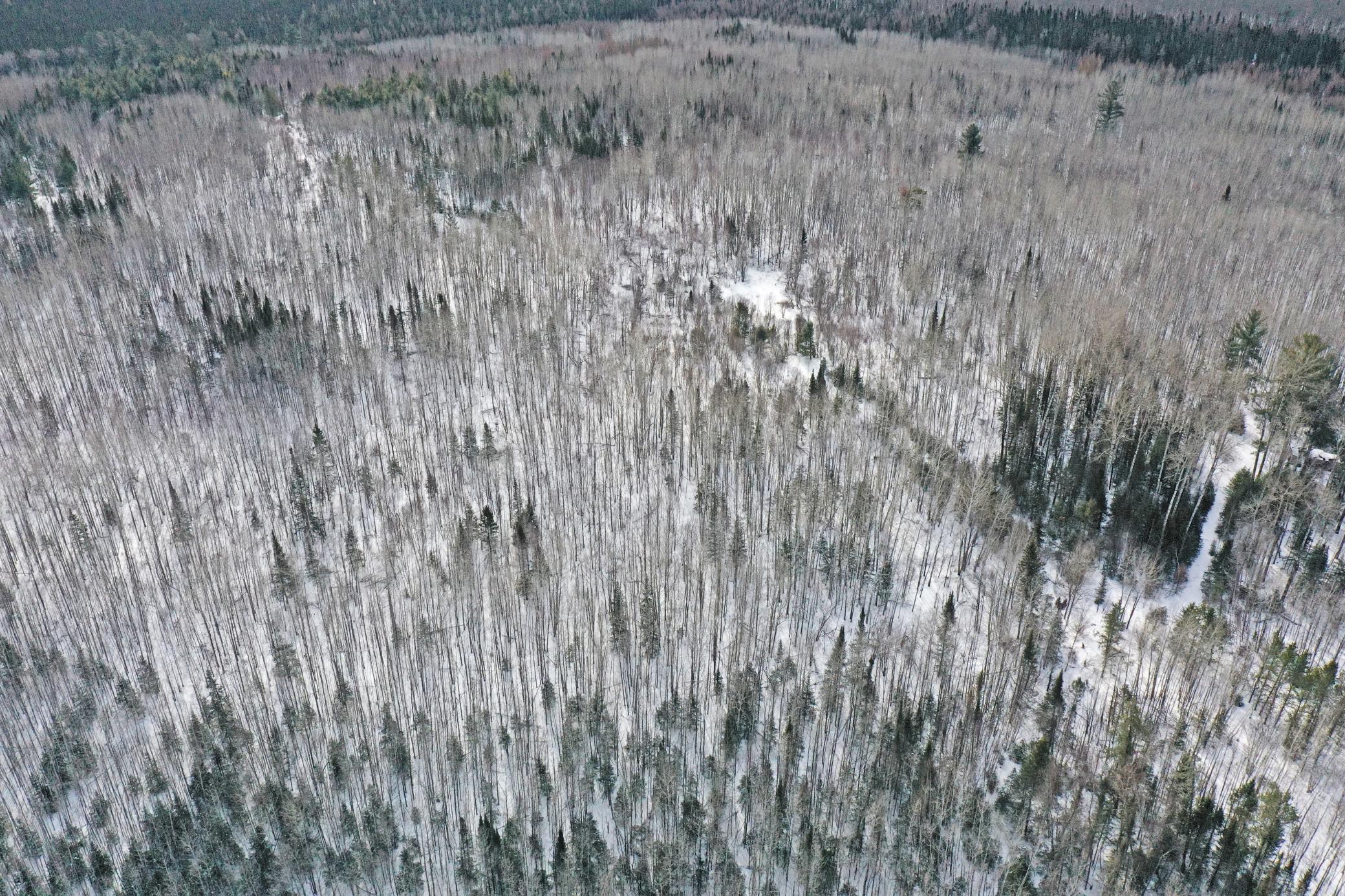 4268 Crane Lake Road Orr, MN 55771 - Photo 14 of 47