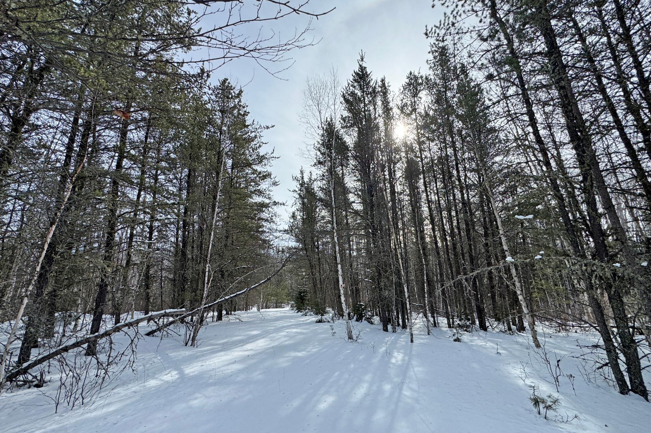 4268 Crane Lake Road Orr, MN 55771 - Photo 16 of 47