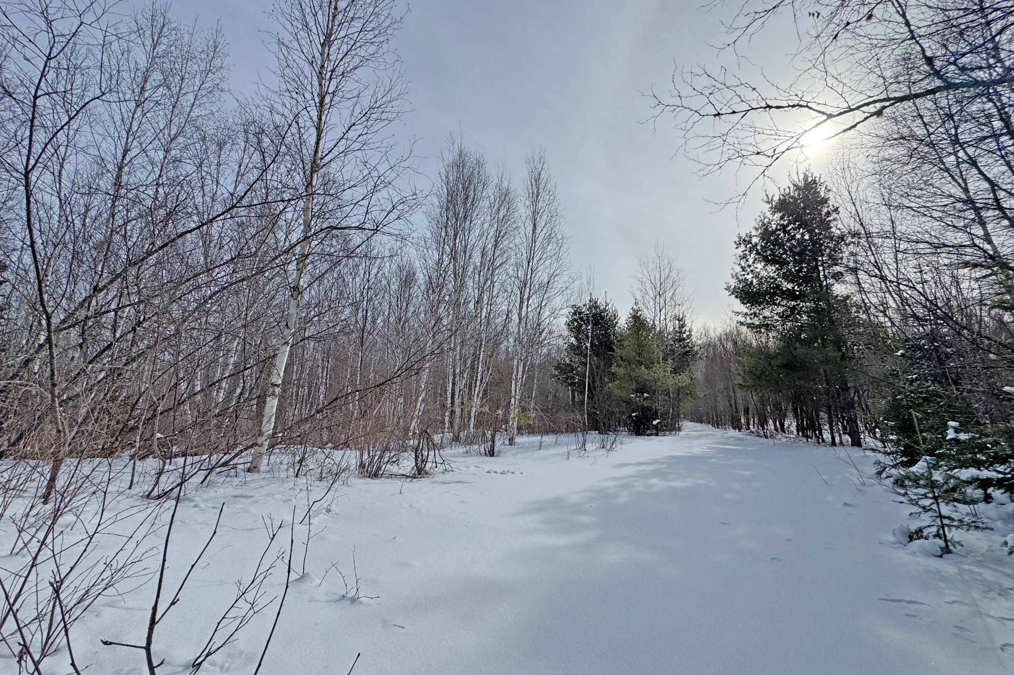 4268 Crane Lake Road Orr, MN 55771 - Photo 18 of 47