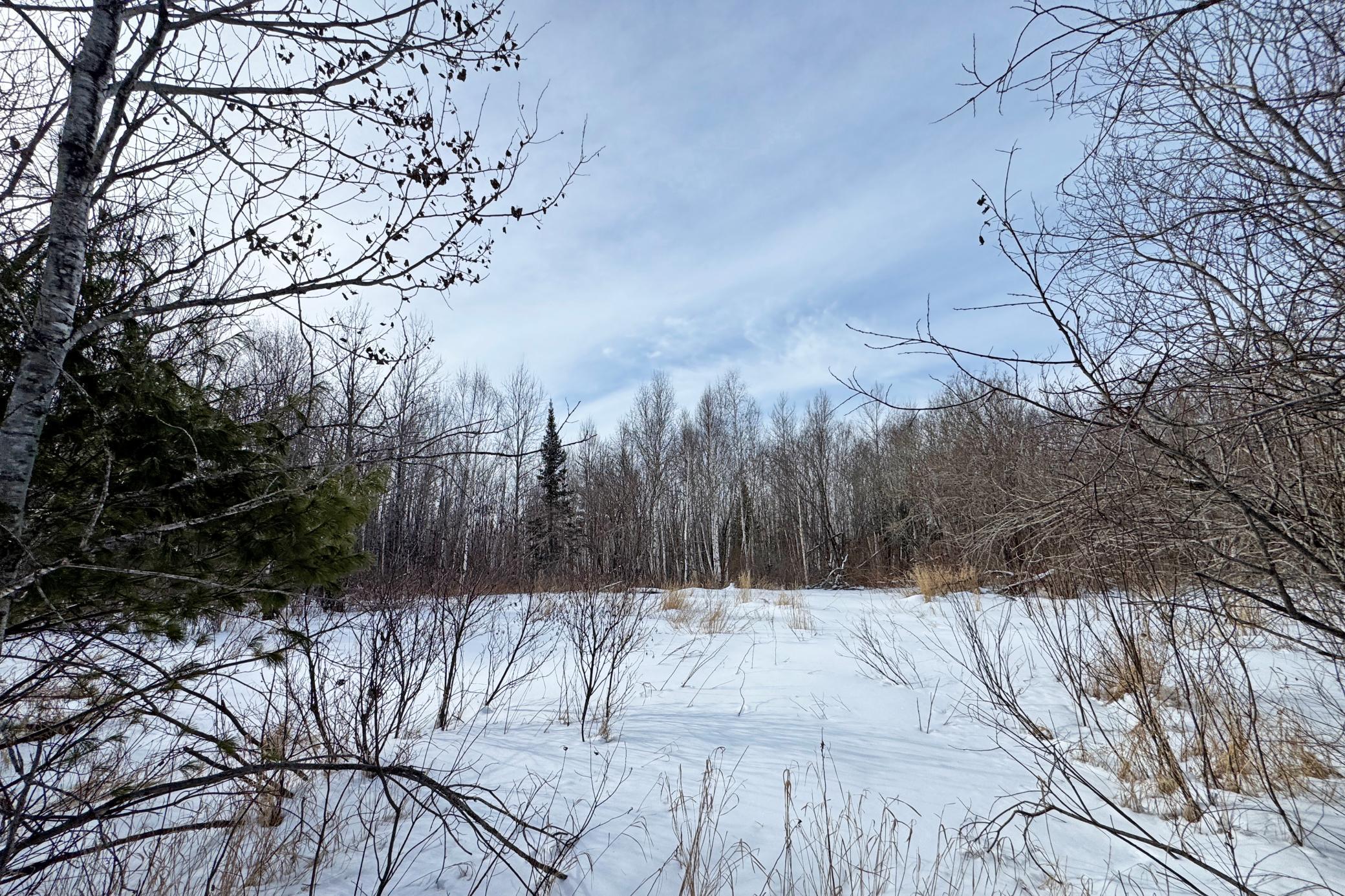 4268 Crane Lake Road Orr, MN 55771 - Photo 20 of 47