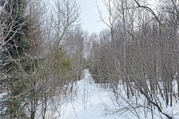 $245,000 | 4268 Crane Lake Road, Orr, MN 55771