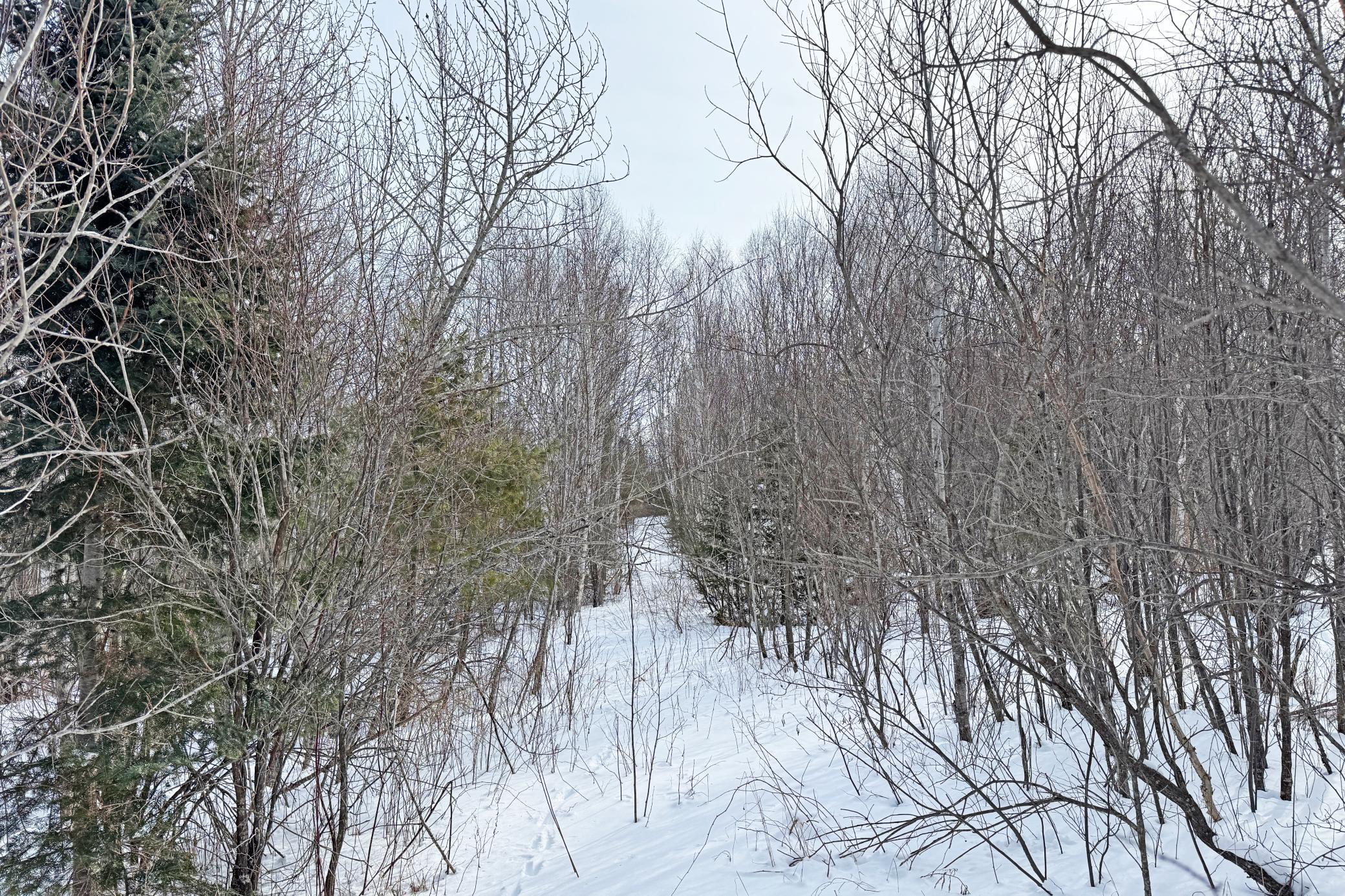 4268 Crane Lake Road Orr, MN 55771 - Photo 21 of 47