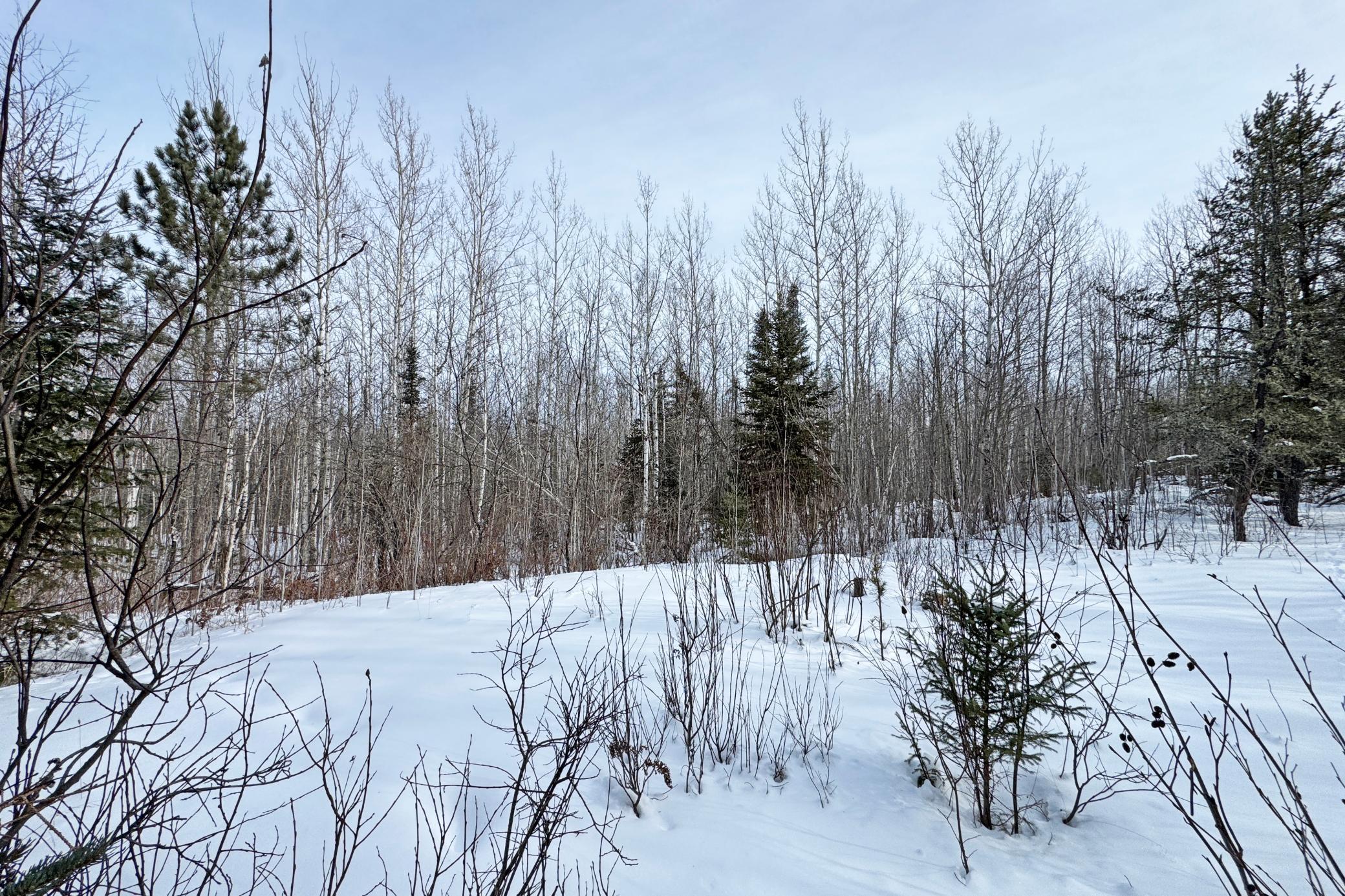 4268 Crane Lake Road Orr, MN 55771 - Photo 24 of 47