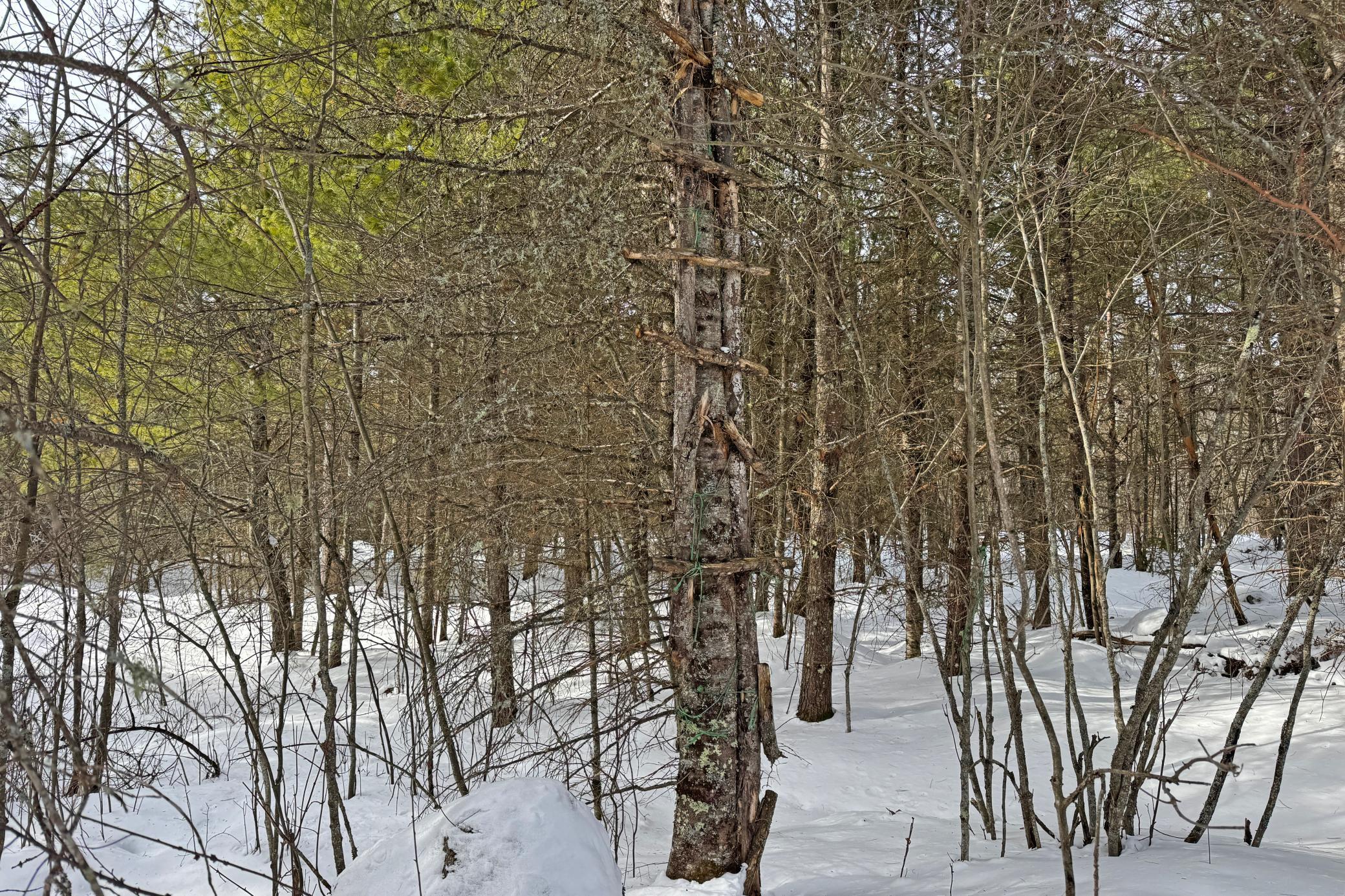 4268 Crane Lake Road Orr, MN 55771 - Photo 27 of 47