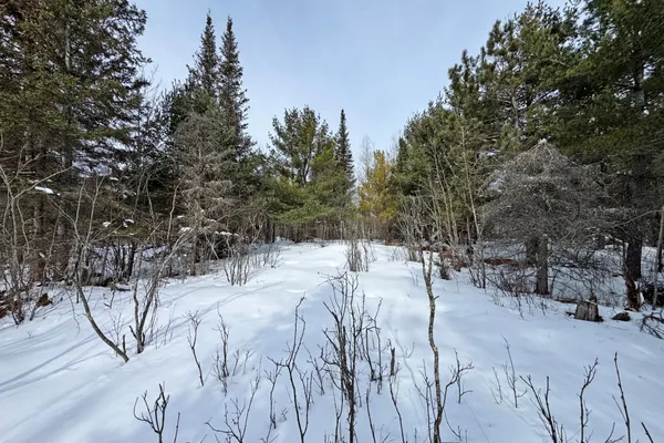 $245,000 | 4268 Crane Lake Road, Orr, MN 55771