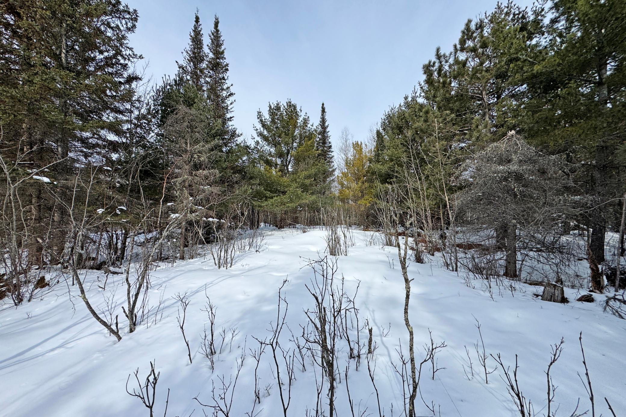 4268 Crane Lake Road Orr, MN 55771 - Photo 28 of 47