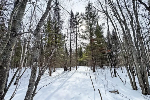 $245,000 | 4268 Crane Lake Road, Orr, MN 55771