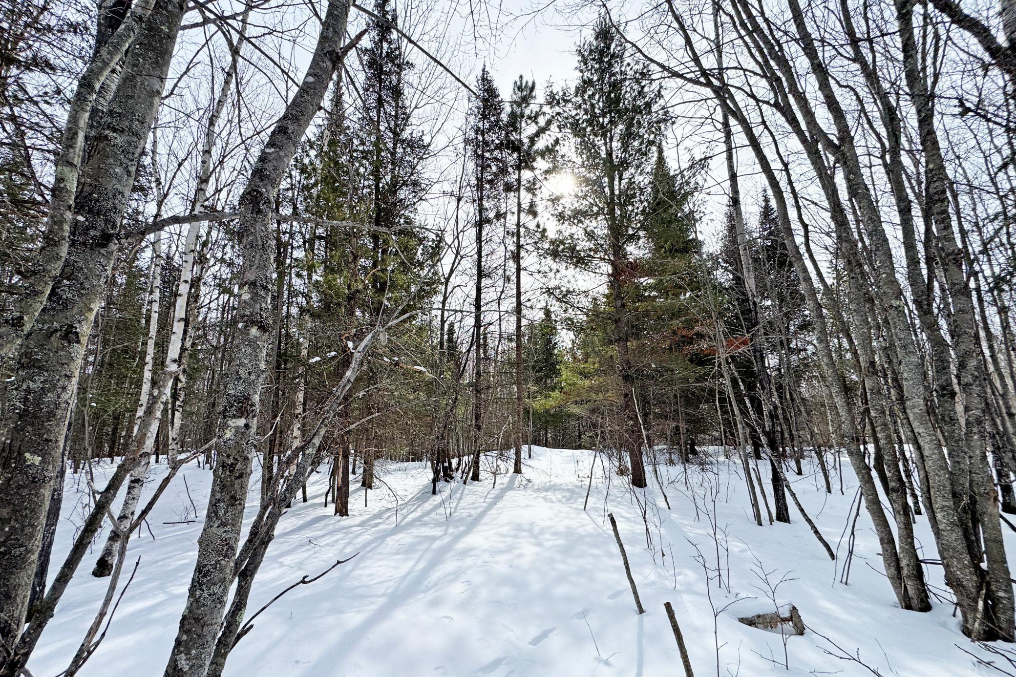 4268 Crane Lake Road Orr, MN 55771 - Photo 30 of 47