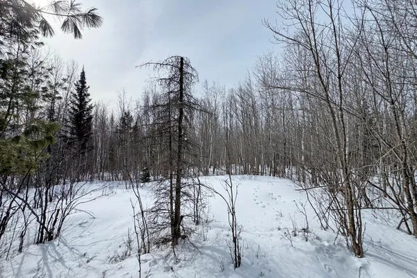 $245,000 | 4268 Crane Lake Road, Orr, MN 55771