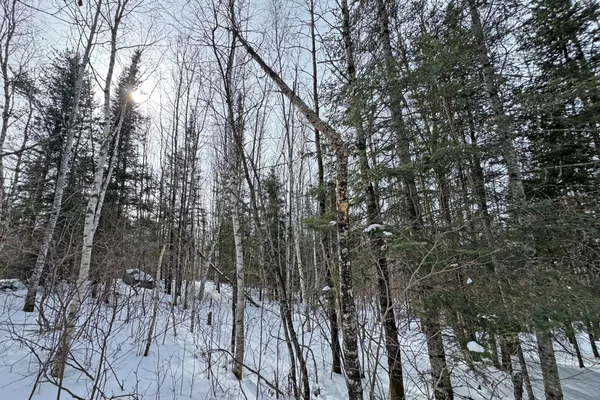 $245,000 | 4268 Crane Lake Road, Orr, MN 55771