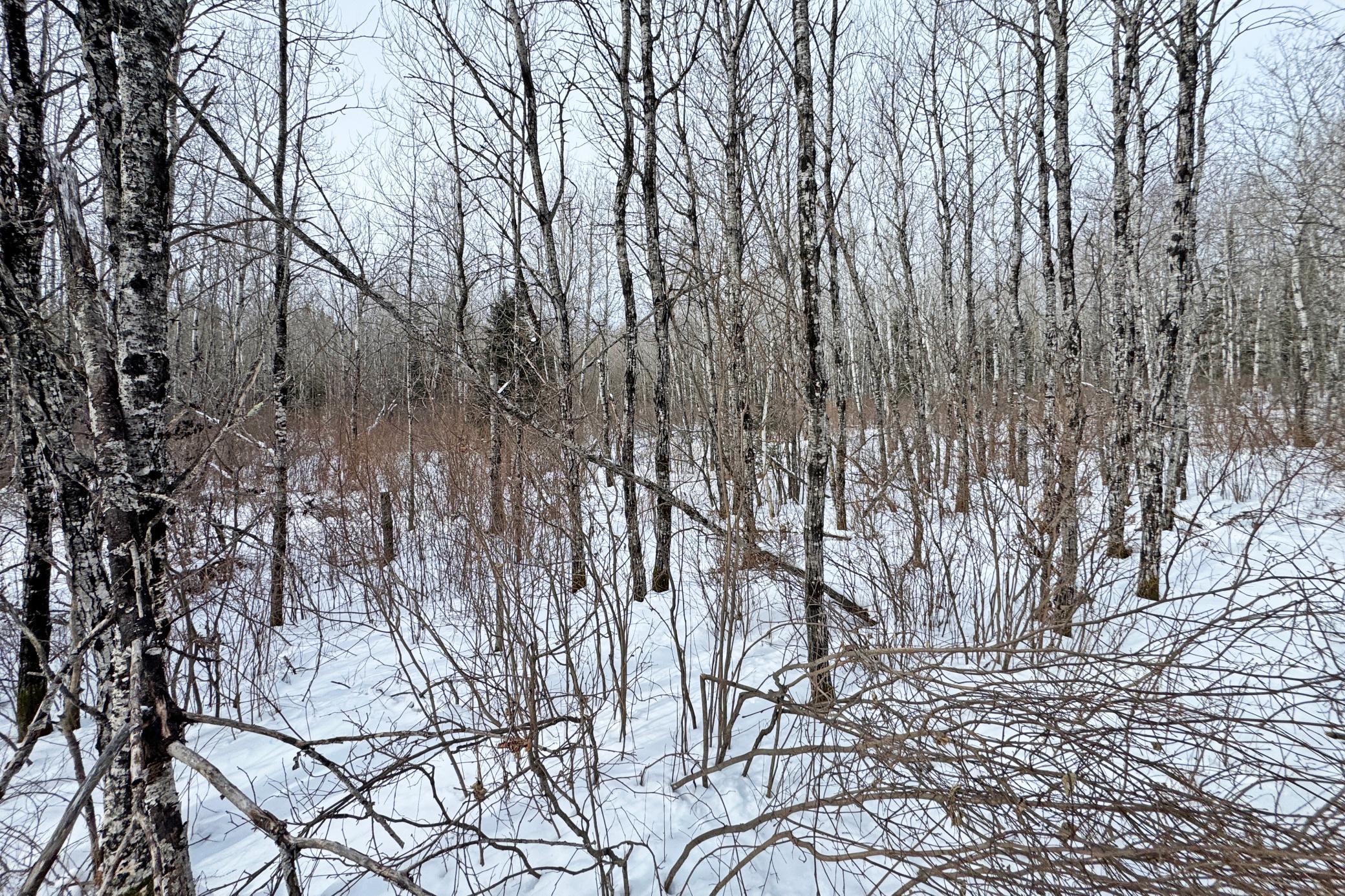 4268 Crane Lake Road Orr, MN 55771 - Photo 33 of 47