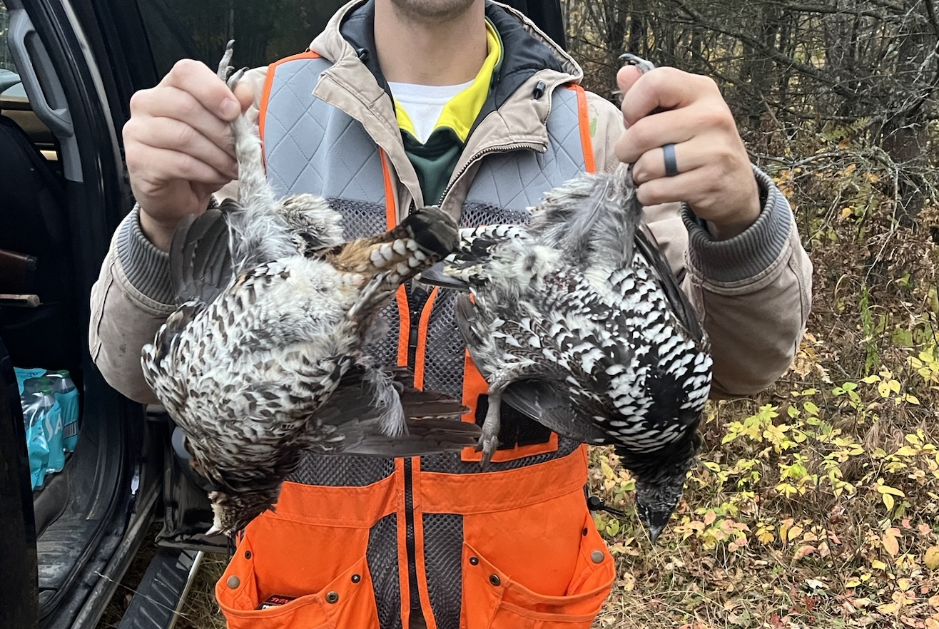 4268 Crane Lake Road Orr, MN 55771 - Photo 43 of 47