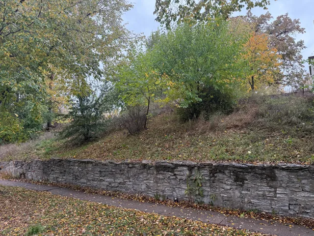 $35,000 | 505 Whitall Street, St. Paul, MN 55130