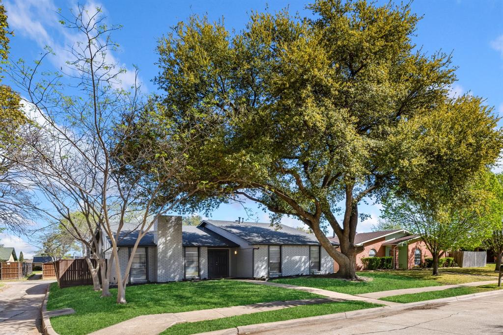 3429 Post Oak Road Garland, TX 75044 - Photo 3 of 36 a tree in middle of a garden