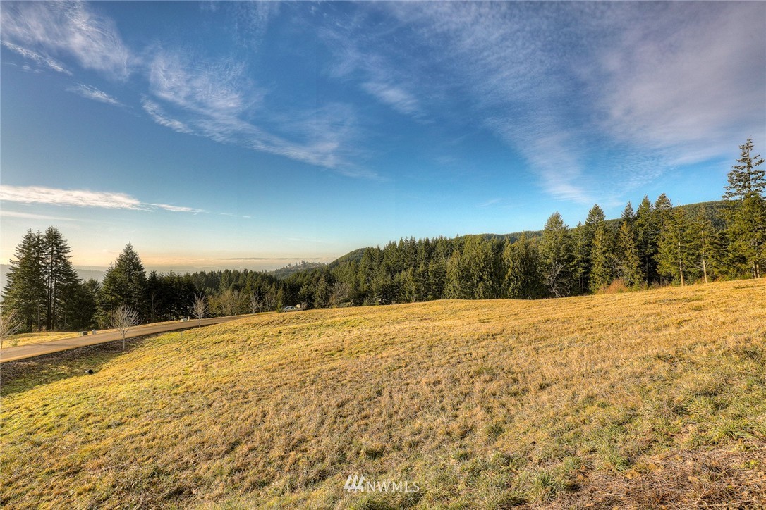 151 Summit Butte Road Woodland, WA 98674 - Photo 3 of 6 Gallery Image 3