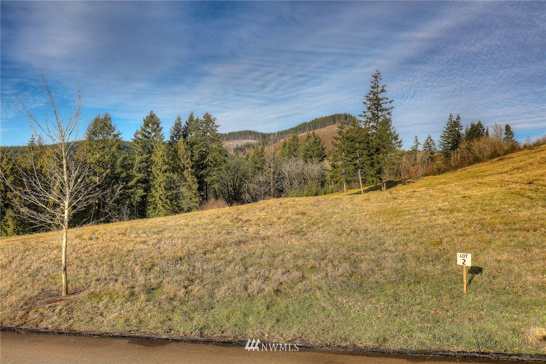 151 Summit Butte Road Woodland, WA 98674 - Photo 4 of 6 Gallery Image 4