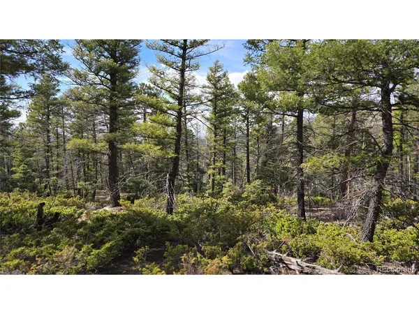 $32,500 | 6070 Vreeland Road, San Luis, CO 81152