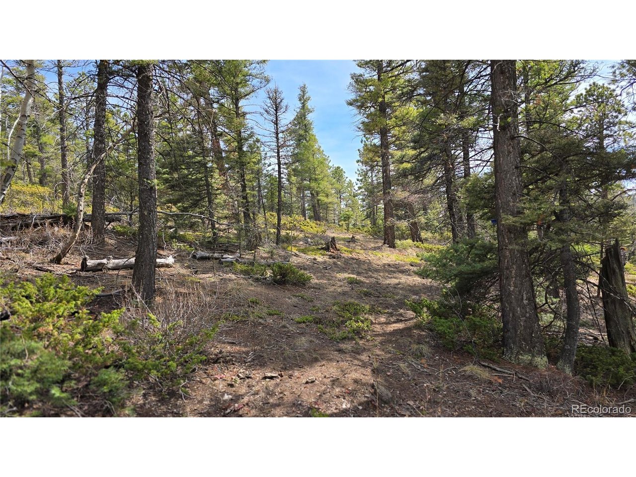 6070 Vreeland Road San Luis, CO 81152 - Photo 13 of 25 a open area with trees in the background