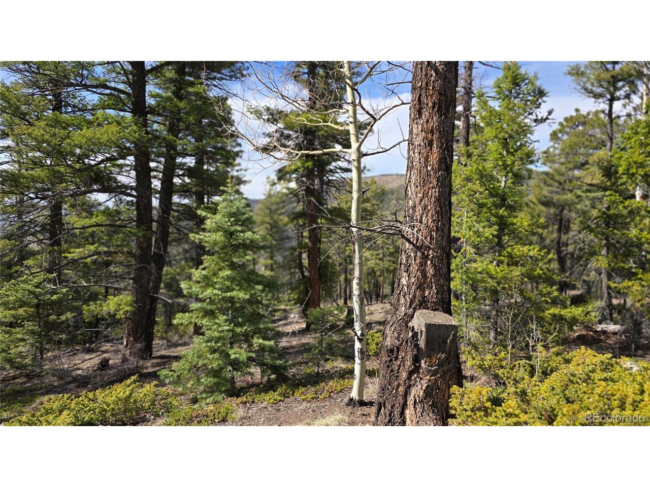 6070 Vreeland Road San Luis, CO 81152 - Photo 23 of 25 a picture of a park