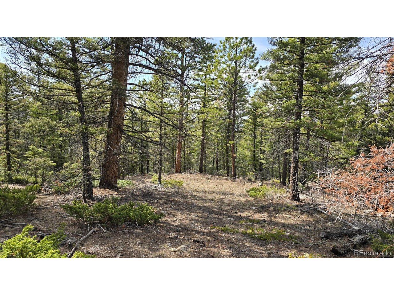 6070 Vreeland Road San Luis, CO 81152 - Photo 3 of 25 a outdoor view