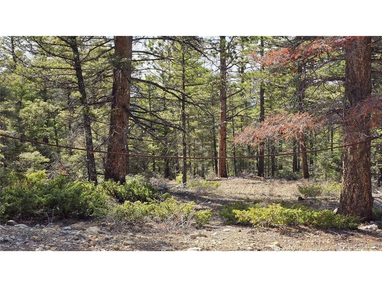 6070 Vreeland Road San Luis, CO 81152 - Photo 7 of 25 a backyard of a house with large trees