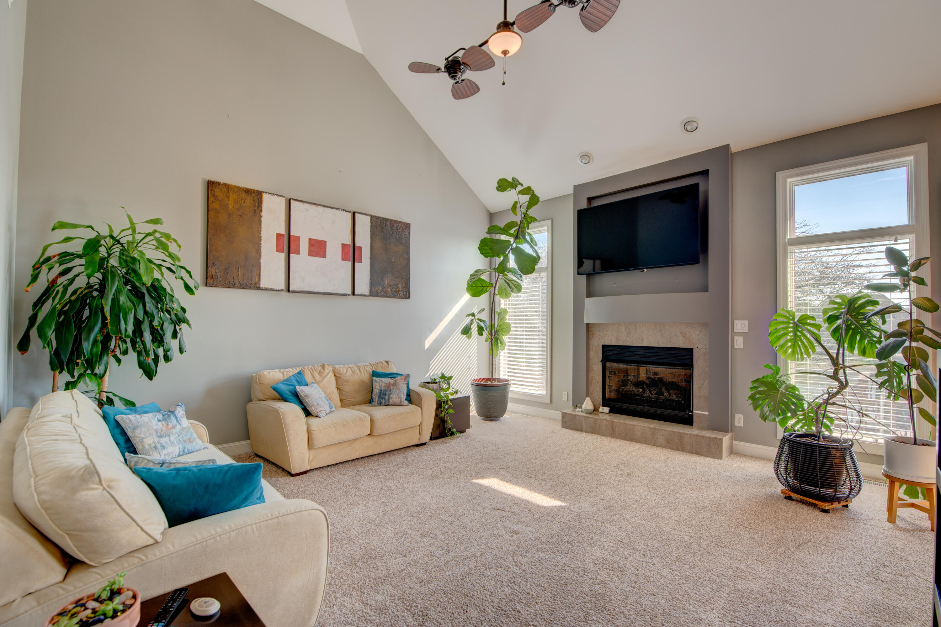 669 Davis Circle Crown Point, IN 46307 - Photo 7 of 22 a living room with furniture a flat screen tv and a fireplace