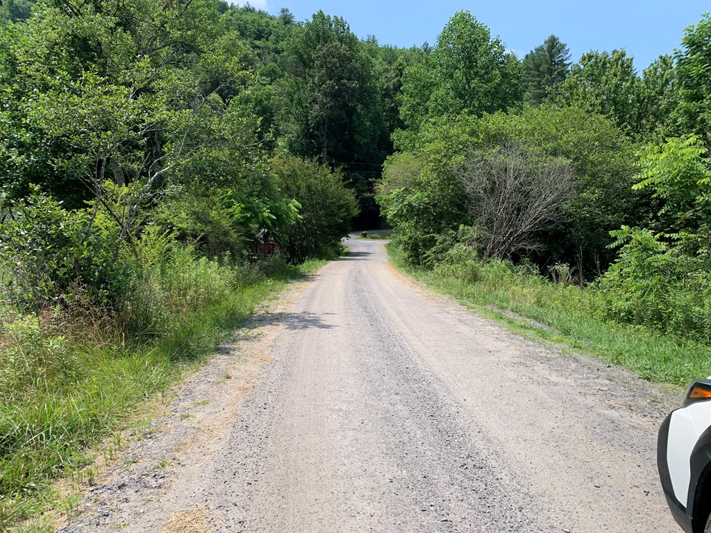 Tbd Greasy Creek Road Murphy, NC 28906 - Photo 4 of 4