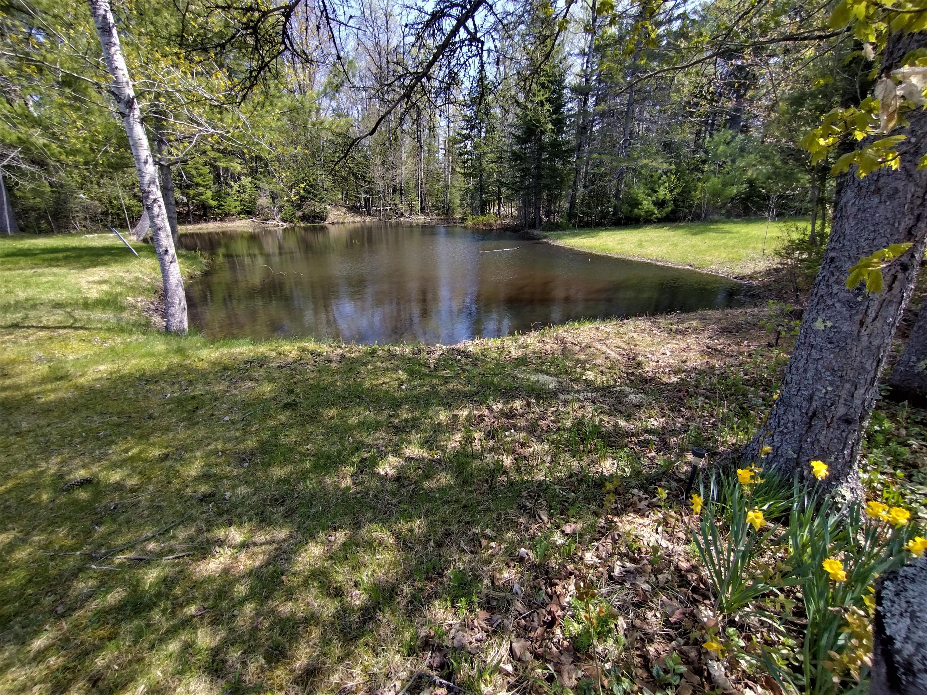 727 Dexter Road Corinna, ME 04928 - Photo 42 of 54 Farm Pond