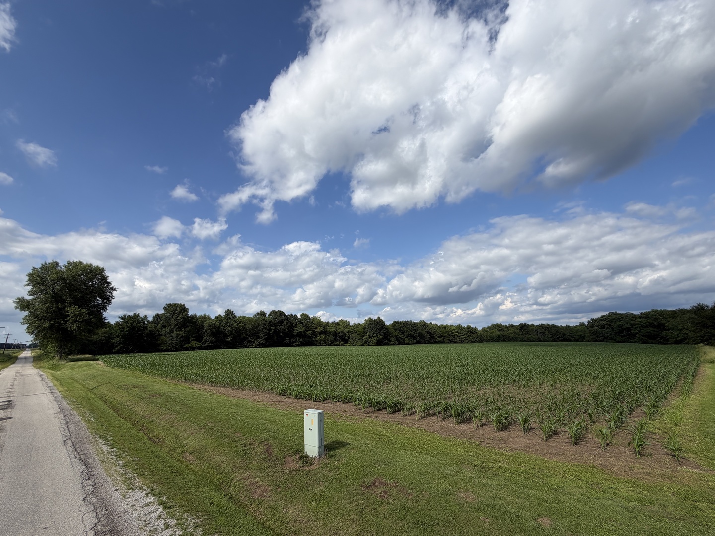 0 Landmark Road Iuka, IL 62849 - Photo 2 of 28