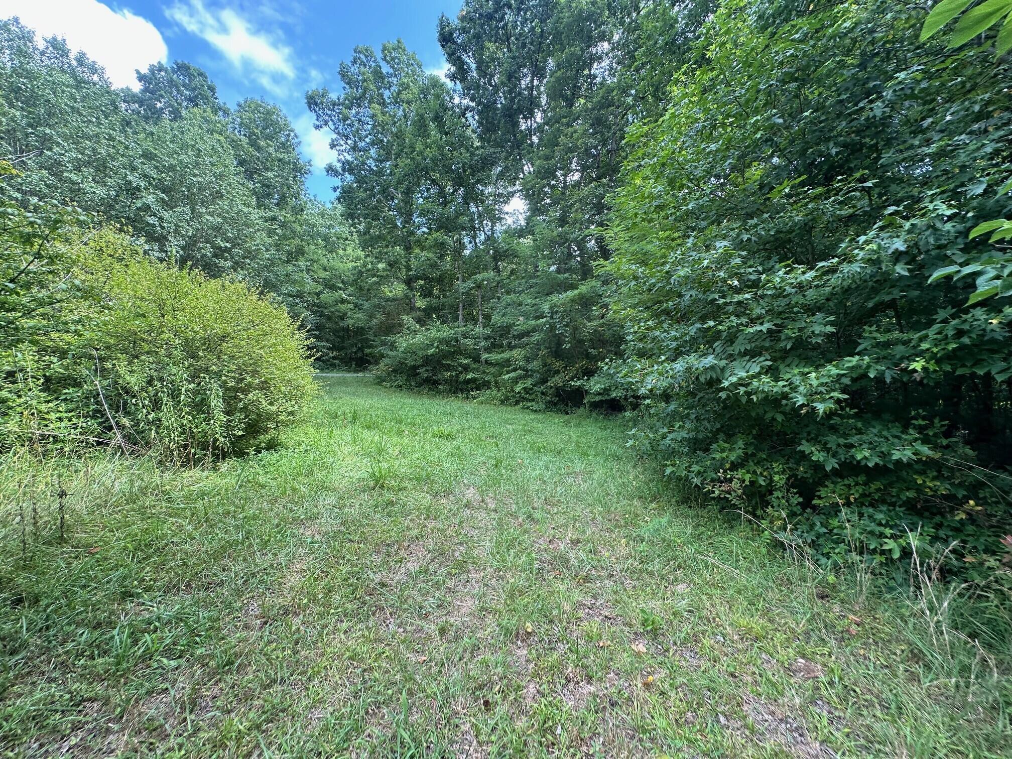 2 Prater Road, Unit 2 Pikeville, TN 37367 - Photo 1 of 19 3