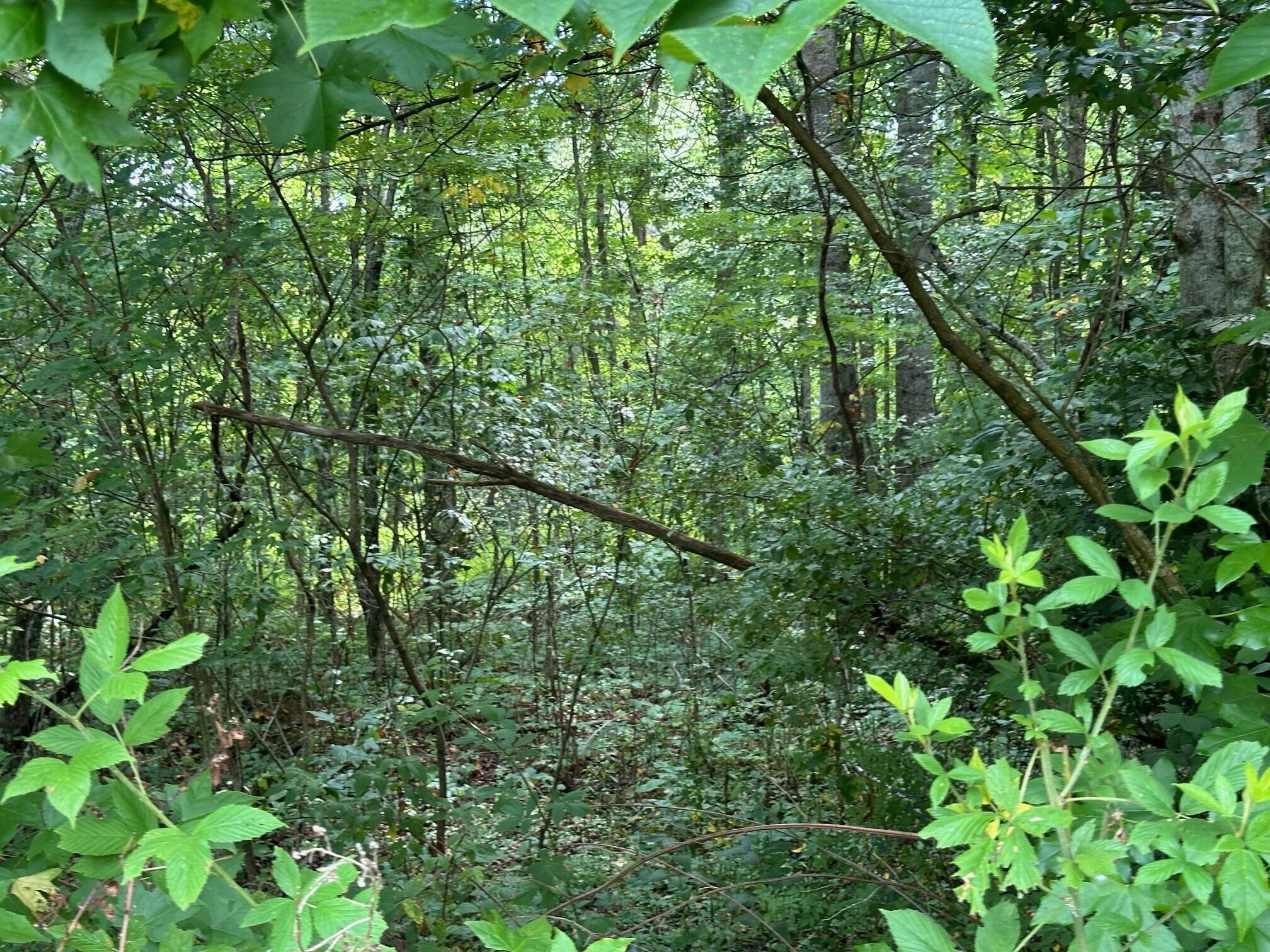 2 Prater Road, Unit 2 Pikeville, TN 37367 - Photo 15 of 19 4