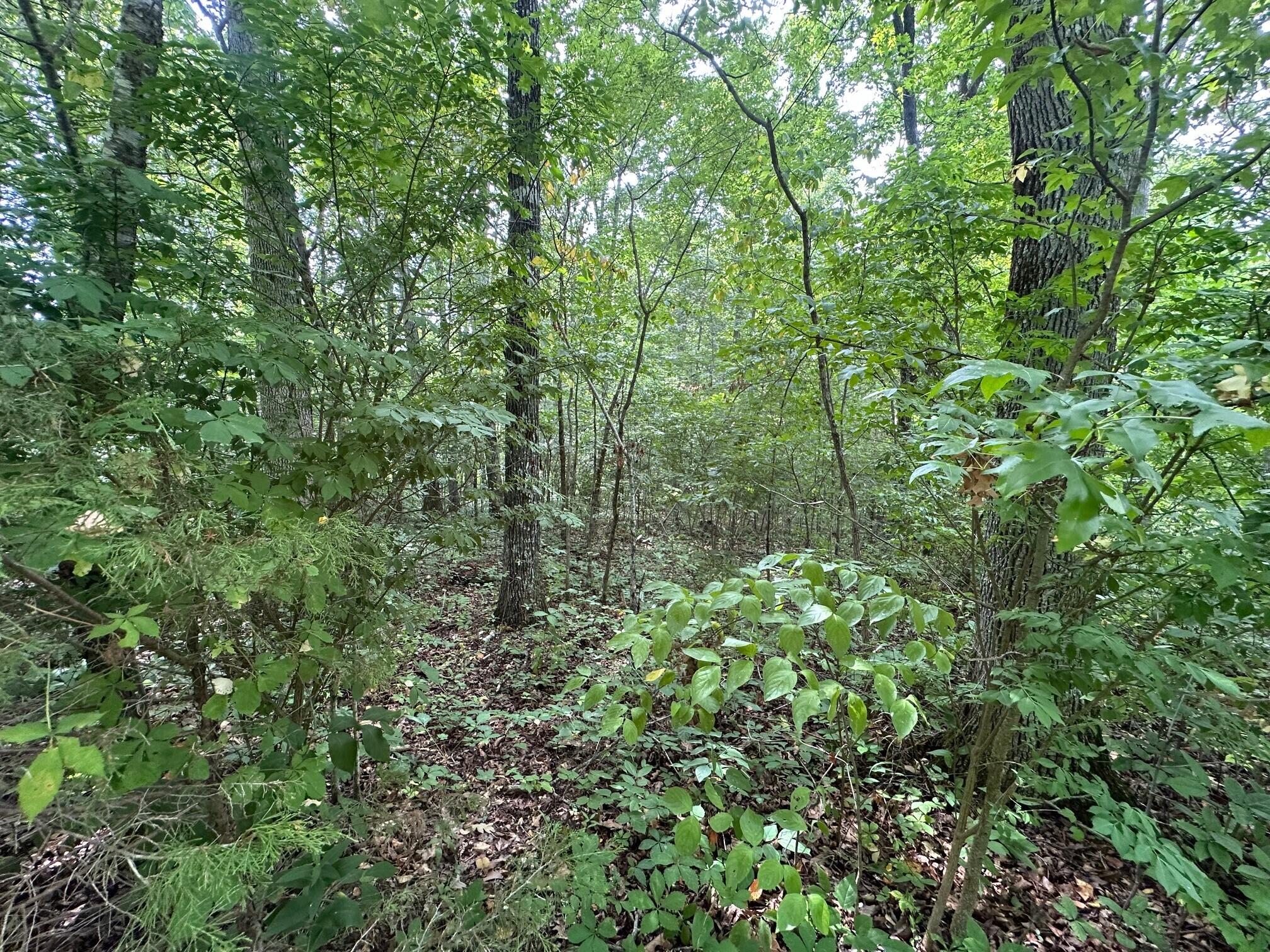 2 Prater Road, Unit 2 Pikeville, TN 37367 - Photo 17 of 19 7