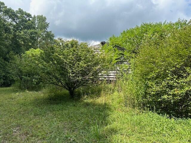 2 Prater Road, Unit 2 Pikeville, TN 37367 - Photo 4 of 19 11