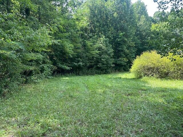 2 Prater Road, Unit 2 Pikeville, TN 37367 - Photo 5 of 19 9
