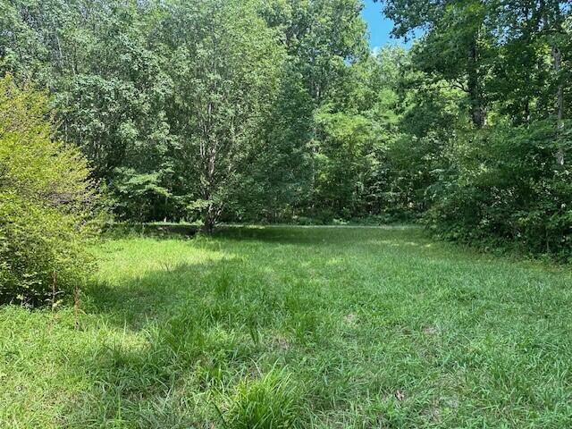 2 Prater Road, Unit 2 Pikeville, TN 37367 - Photo 6 of 19 10