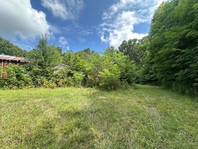 2 Prater Road, Unit 2 Pikeville, TN 37367 - Photo 10 of 19 17
