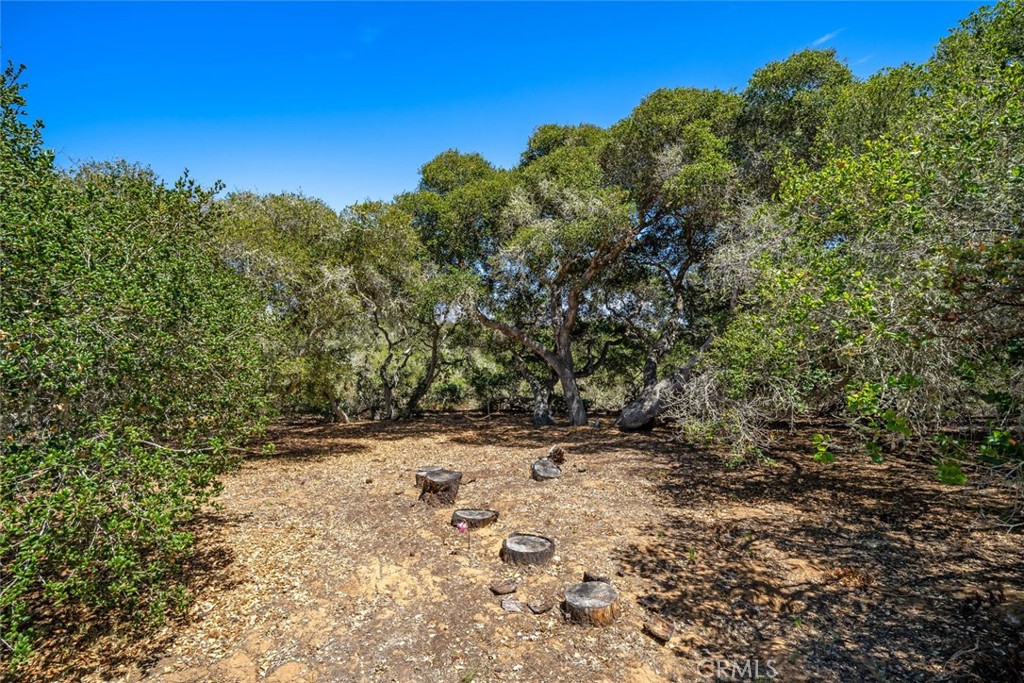 1606 Valley View Drive Los Osos, CA 93402 - Photo 21 of 50 a view of a yard with a tree