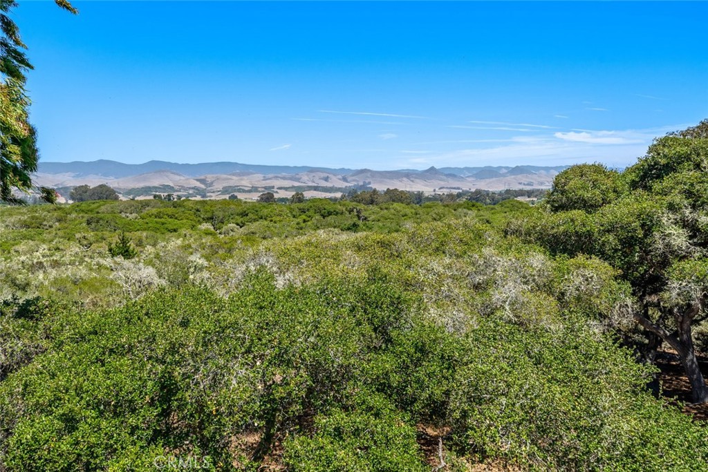 1606 Valley View Drive Los Osos, CA 93402 - Photo 29 of 50 a view of a lush green forest with a houses