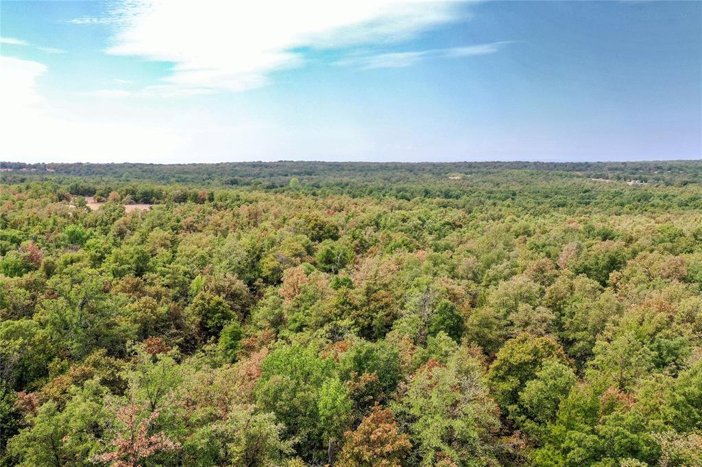 Two 2 Bush Road Perrin, TX 76486 - Photo 20 of 40 Gallery Image 20
