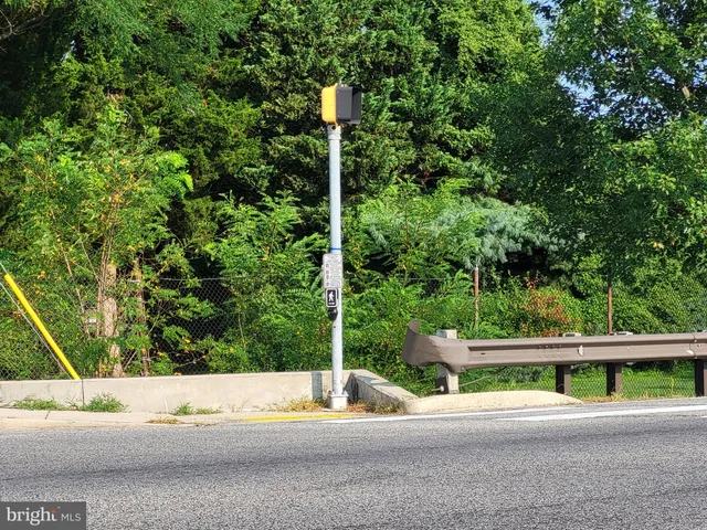 a view of small yard and large trees