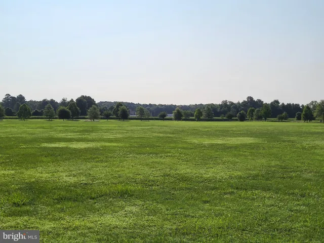 a view of a grassy field with trees