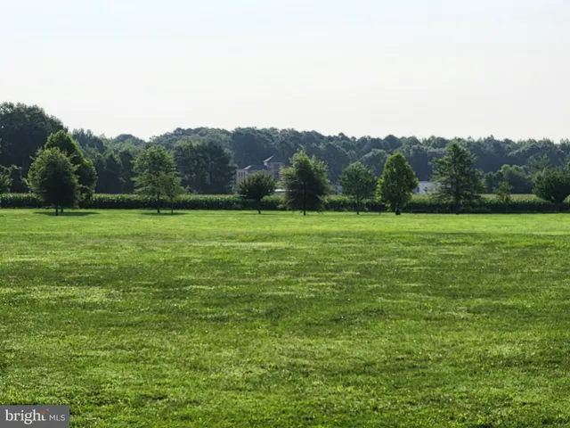 a view of a grassy field with trees in the background