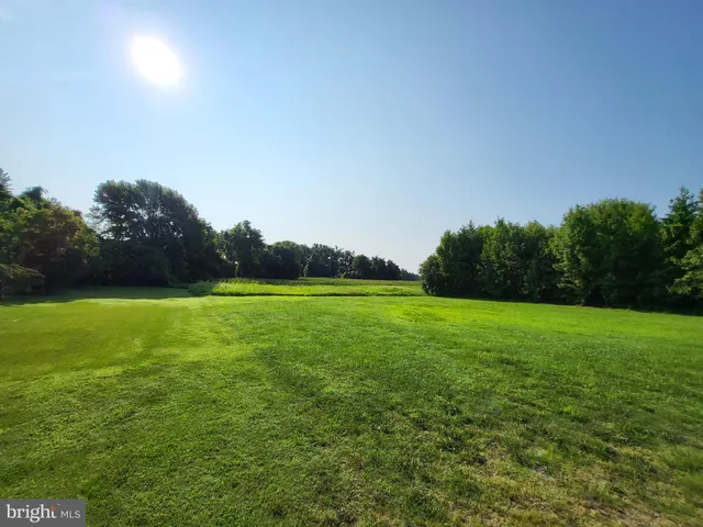 a view of field with an trees in the background