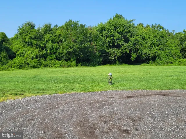 a view of a field and trees in the background