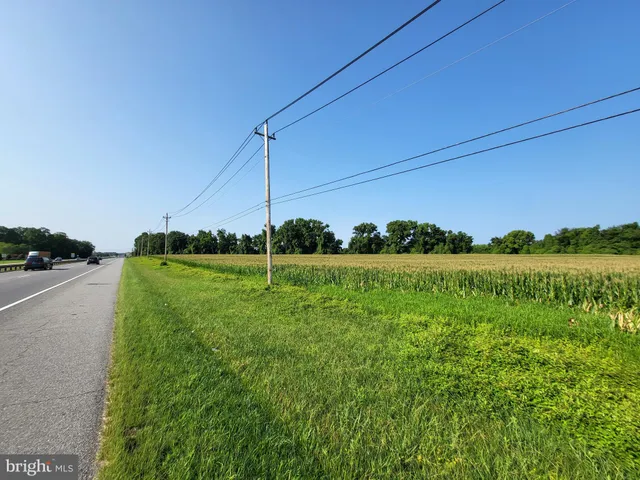 a view of a green field