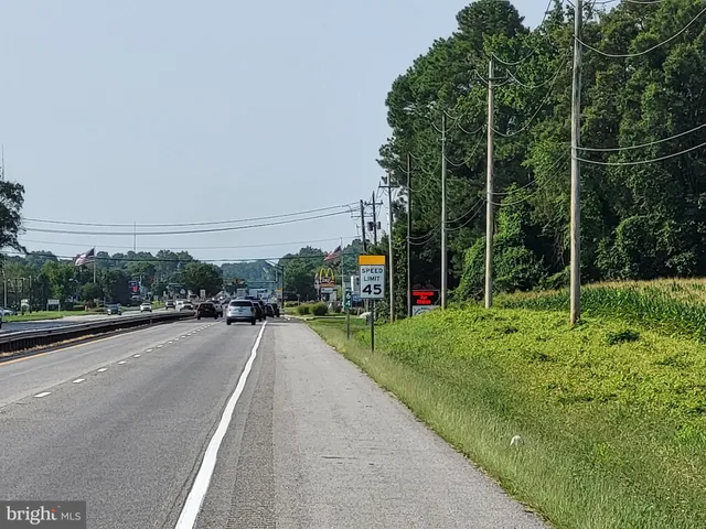 a view of a park with potted plants and a fountain